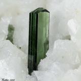 Diopside
Mt Cervandone (Scherbadung), Devero Alp (Devero Valley; Val Devero), Baceno, Ossola Valley, Verbano-Cusio-Ossola Province, Piedmont, Italy
Perfect 4.96 mm Diopside crystal (Author: Matteo_Chinellato)