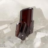 Rutile
Crevoladossola quarry, Crevoladossola, Ossola Valley, Verbano-Cusio-Ossola Province, Piedmont, Italy
1.07 mm red-dark group of Rutile crystals (Author: Matteo_Chinellato)