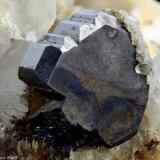 Bournonite
Brosso Mine, Cálea, Léssolo, Canavese District, Torino Province, Piedmont, Italy
6 mm Bournonite grey crystal (Author: Matteo_Chinellato)
