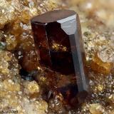 Vesuvianite
Rocca della Marasca, Urbe, Savona Province, Liguria, Italy
4.27 mm brown-red Vesuvianite crystal (Author: Matteo_Chinellato)