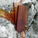 Brookite
Mt. Bregaceto, Borzonasca, Genova Province, Liguria, Italy
Group of orange-red Brookite blades of 3.42 mm (Author: Matteo_Chinellato)