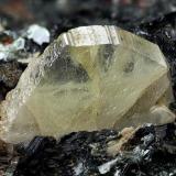 Titanite
Mt. Argentea, Arenzano, Genova Province, Liguria, Italy
14.61 mm yellow pale Titanite crystal (Author: Matteo_Chinellato)