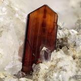 Brookite
Mt. Bregaceto, Borzonasca, Genova Province, Liguria, Italy
5.92 mm red-orange Brookite crystal (Author: Matteo_Chinellato)