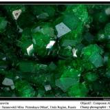 Uvarovite garnet
Saranovskii mine, Urals region, Russia
fov 3.5 mm (Author: ploum)