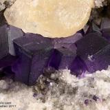 Fluorite
Camissinone Mine, Zogno, Brembana Valley, Bergamo Province, Lombardy, Italy
17.11 mm group of purple dark Fluorite crystals (Author: Matteo_Chinellato)