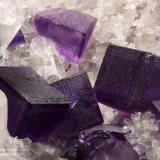 Fluorite
Camissinone Mine, Zogno, Brembana Valley, Bergamo Province, Lombardy, Italy
6.41 mm group of purple dark Fluorite crystals (Author: Matteo_Chinellato)