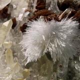 Aragonite, Quartz, Siderite
Piatta Grande, Sondalo, Sondrio Province, Lombardy, Italy
9 mm tuft of acycular Aragonite on Quartz and Siderite (Author: Matteo_Chinellato)