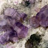 Fluorite
Camissinone Mine, Zogno, Brembana Valley, Bergamo Province, Lombardy, Italy
10.60 mm group of purple pale Fluorite crystals (Author: Matteo_Chinellato)