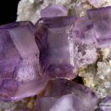 Fluorite
Camissinone Mine, Zogno, Brembana Valley, Bergamo Province, Lombardy, Italy
6.35 mm group of purple Fluorite crystals (Author: Matteo_Chinellato)