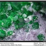 Uvarovite and amesite
Saranovskii mine, Urals region, Russia
fov 3 mm (Author: ploum)