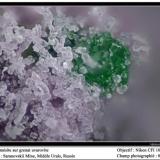 Amesite on uvarovite
Saranovskii mine, Urals region, Russia
fov 0.8 mm (Author: ploum)