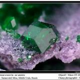 Uvarovite garnet
Saranovskii mine, Urals region, Russia
fov 3 mm (Author: ploum)