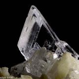 Gypsum
Paglio Pignolino Mine, Dossena, Brembana Valley, Bergamo Province, Lombardy, Italy
24.31 mm transparent Gypsum crystal (Author: Matteo_Chinellato)