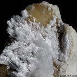 Artinite, Hydromagnesite
Rossa Valley, Cene, Bergamo Province, Lombardy, Italy
Area of 41.69 mm with acycular Artinite crystals and balls of Hydromagnesite (Author: Matteo_Chinellato)
