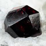 Almandine
Codera Valley, Novate Mezzola, Sondrio Province, Lombardy, Italy
Nice 4.87 mm red-dark Almandine crystal (Author: Matteo_Chinellato)