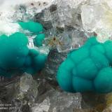 Rosasite
Monte Fronte Mine, Levico Terme, Valsugana, Trento Province, Trentino-Alto Adige, Italy
5.35 mm group of green-blue Rosasite balls (Author: Matteo_Chinellato)