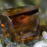 Anatase
Griesferner glacier, Vizze Valley (Pfitsch Valley), Bolzano Province (South Tyrol), Trentino-Alto Adige, Italy
1.48 mm orange-yellow Anatase crystal (Author: Matteo_Chinellato)