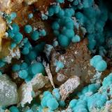 Aurichalcite
Tingherla Mine, Palù del Fersina, Mocheni Valley, Trento Province, Trentino-Alto Adige, Italy
17 mm close up in a area full of Aurichalcite balls (Author: Matteo_Chinellato)