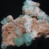 Fluorita
Pedrera Berta, El Papiol, Vallès Occidental, Barcelona, Catalunya, España
6x5x3 cm.
Cristal mayor 0,70 cm. (Autor: Carles Rubio)