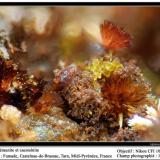 Beraunite and cacoxenite
Fumade, Castelnau-de-Brassac, Tarn, Midi-Pyrénées, France
fov 1.2 mm (Author: ploum)