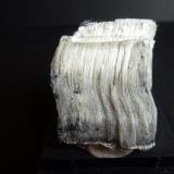 CrisotiloEl Muyo, Riaza, Comarca Tierras de Riaza, Segovia, Castilla y León, España3 x 3 cm. (Autor: javier ruiz martin)
