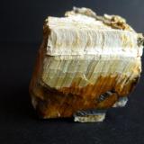 Crisotilo, GruneritaEl Muyo, Riaza, Comarca Tierras de Riaza, Segovia, Castilla y León, España4 x 4 cm. (Autor: javier ruiz martin)