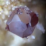 Cuprita
Mina Tsumeb, Tsumeb, Namibia
fov 2 mm (Autor: Rewitzer Christian)