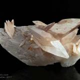 Calcite
Grotta "La Bislonga", Pederobba, Treviso Province, Veneto, Italy
Complex 110x54 mm Calcite crystal (Author: Matteo_Chinellato)