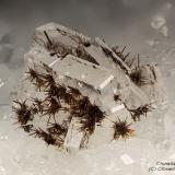 Goethite
Magrè Mt., Vicenza Province, Veneto, Italy
2.56 mm group of probable Baryte crystals full of Goethite tufts (Author: Matteo_Chinellato)