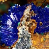 Linarite
Monte Trisa Mines, Mercanti Valley, Torrebelvicino, Vicenza Province, Veneto, Italy
2.62 mm group of Linarite crystals in cavity (Author: Matteo_Chinellato)