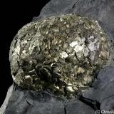 Pyrite
Schio-Valdagno tunnel, Vicenza province, Veneto, Italy
32.2 mm Pyrite ball on botryoidal shape (Author: Matteo_Chinellato)