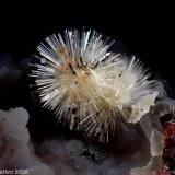 Offretite
Scagno Mt., Case Nori, Montorso Vicentino, Vicenza province, Veneto, Italy
Nice group of 2 mm Offrétite tufts (Author: Matteo_Chinellato)