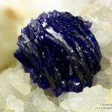 Azurite
Monte Avanza Mine, Forni Avoltri, Udine Province, Friuli Venezia Giulia, Italy
1.48 mm blue-dark ball of Azurite (Author: Matteo_Chinellato)
