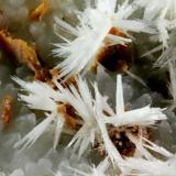 Aragonite, Pyroaurite
Borcola Pass Quarry, Borcola Pass, Posina, Vicenza Province, Veneto, Italy
Area of 5.5 mm with several Aragonite acycular crystals and Pyroaurite micro blades (Author: Matteo_Chinellato)