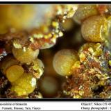 Cacoxenite, beraunite, strengite
Fumade, Castelnau-de-Brassac, Tarn, Midi-Pyrénées, France
fov 1. 6 mm (Author: ploum)