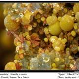 Cacoxenite, beraunite, strengite
Fumade, Castelnau-de-Brassac, Tarn, Midi-Pyrénées, France
fov 1. 7 mm (Author: ploum)