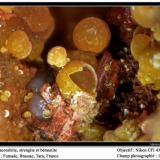 Cacoxenite, beraunite, strengite
Fumade, Castelnau-de-Brassac, Tarn, Midi-Pyrénées, France
fov 1. 5mm (Author: ploum)