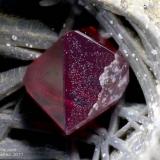 Cuprite
Madonna di Fucinaia (Madonna della Fucinaia; slag locality), Campiglia Marittima, Livorno Province, Tuscany, Italy
1.21 mm octhedron red ruby Cuprite crystal with the cavity surface reflected on a face. (Author: Matteo_Chinellato)