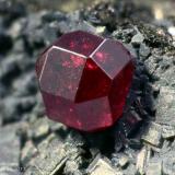 Cuprite
Madonna di Fucinaia (Madonna della Fucinaia; slag locality), Campiglia Marittima, Livorno Province, Tuscany, Italy
0.67 mm single cubeochtaedron Cuprite crystal (Author: Matteo_Chinellato)