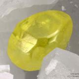 Sulphur
La Facciata quarry, Carrara, Apuan Alps, Massa-Carrara Province, Tuscany, Italy
2.63 mm Sulphur crystal on marble (Author: Matteo_Chinellato)