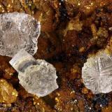 Melanophlogite
Fortullino, Rosignano Marittimo, Livorno Province, Tuscany, Italy
3.58 mm group of cubic Melaphlogite crystals (Author: Matteo_Chinellato)