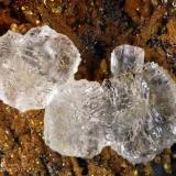 Melanophlogite
Fortullino, Rosignano Marittimo, Livorno Province, Tuscany, Italy
3.19 mm group of cubic Melaphlogite crystals (Author: Matteo_Chinellato)