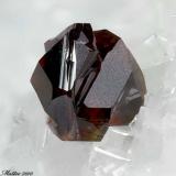 Sphalerite
Apuan Alps, Lucca Province, Tuscany, Italy
1.39 mm red dark Sphalerite crystal (Author: Matteo_Chinellato)