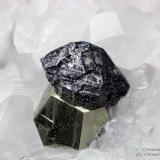 Pyrite, Jordanite
Fantiscritti quarry, Carrara, Apuan Alps, Massa-Carrara Province, Tuscany, Italy
1.65 mm epitaxy of Jordanite on Pyrite (Author: Matteo_Chinellato)