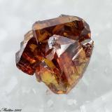 Sphalerite
La Facciata quarry, Carrara, Apuan Alps, Massa-Carrara Province, Tuscany, Italy
1.47 mm red-orange complex Sphalerite crystal on marble (Author: Matteo_Chinellato)