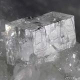 Fluorite
Gioia quarries, Casette, Massa, Apuan Alps, Massa-Carrara Province, Tuscany, Italy
5.6 mm transparent Fluorite crystal on marble (Author: Matteo_Chinellato)