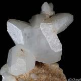 Calcite
Gioia quarries, Casette, Massa, Apuan Alps, Massa-Carrara Province, Tuscany, Italy
Nice group of Calcite crystals of 56.84 mm (Author: Matteo_Chinellato)