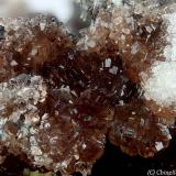 Römerite
Cava del Ferro (Bùgie mines; Trimpello), Fornovolasco, Vergemoli, Apuan Alps, Lucca Province, Tuscany, Italy
5.65 mm group of red-orange dark Romerite crystals (Author: Matteo_Chinellato)