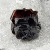 Sphalerite
Madielle Quarries, Massa, Apuan Alps, Massa-Carrara Province, Tuscany, Italy
Strange 1.88 mm Sphalerite crystal (Author: Matteo_Chinellato)