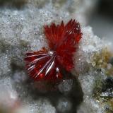 Cetineite from the type locality: Le Cetine di Cotorniano Mine, Chiusdino, Siena, Italy.
Field of view:0.8 mm (Author: Rewitzer Christian)